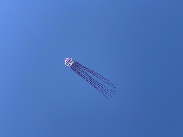 IMG_9453.jpg